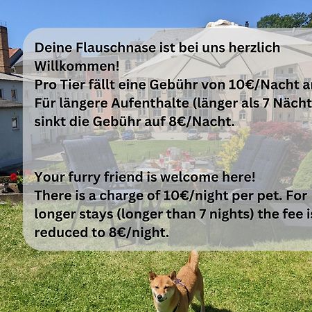 Hw3 - Urlaubsmagie - Helle, Grosse Wohnung Mit Pool Sebnitz Buitenkant foto