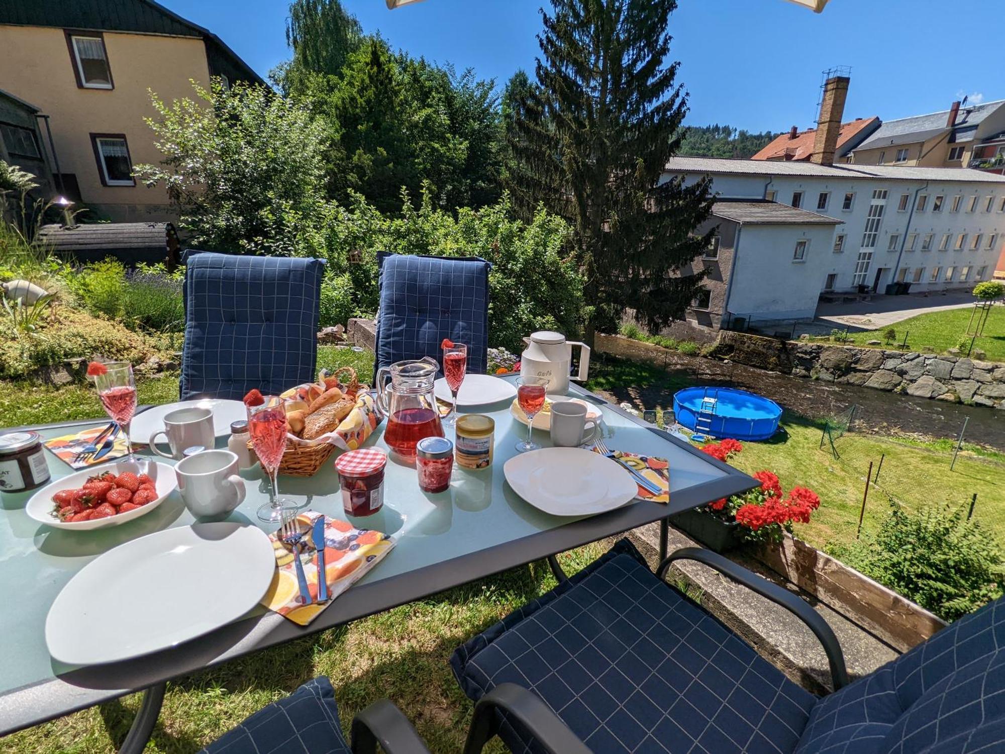 Hw3 - Urlaubsmagie - Helle, Grosse Wohnung Mit Pool Sebnitz Buitenkant foto