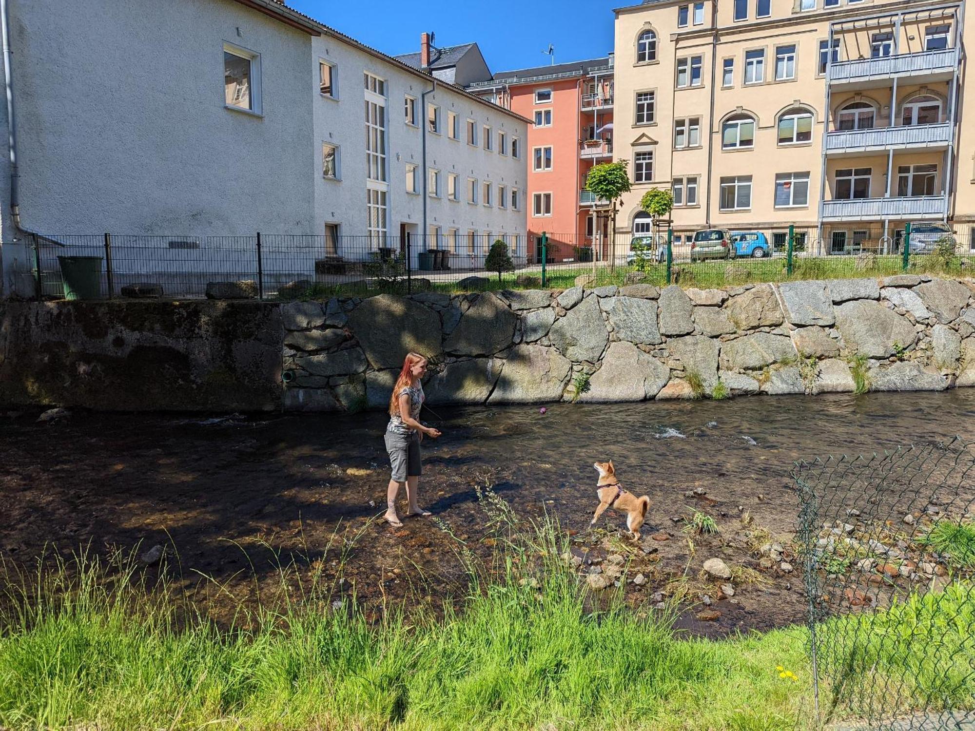 Hw3 - Urlaubsmagie - Helle, Grosse Wohnung Mit Pool Sebnitz Buitenkant foto