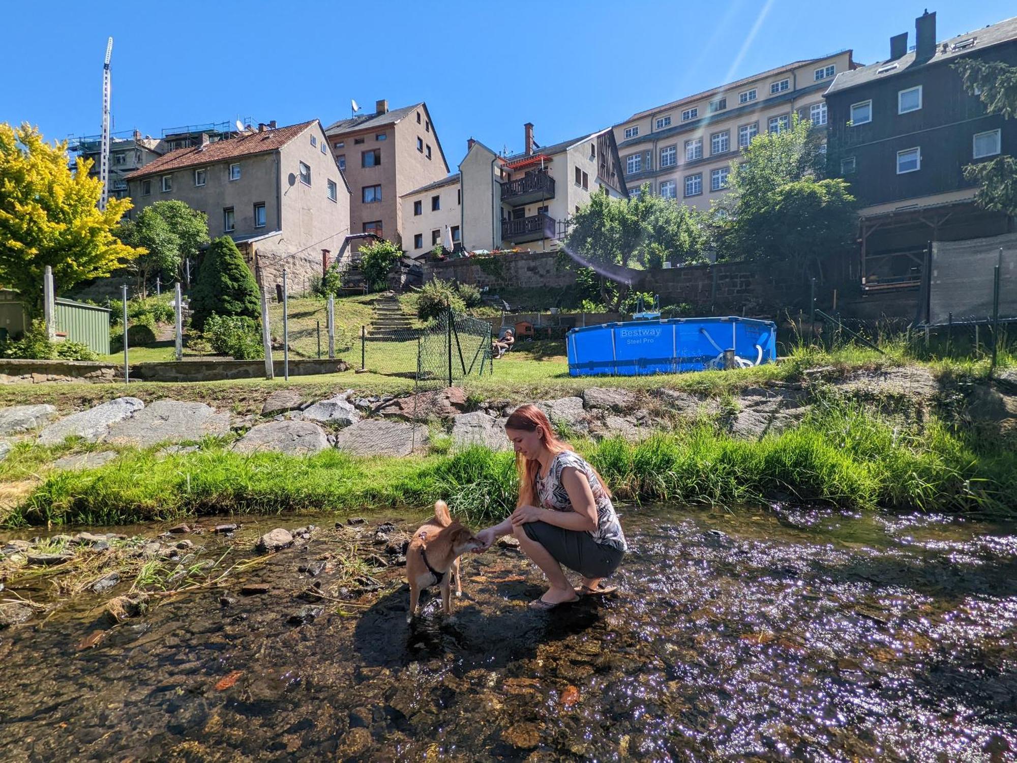 Hw3 - Urlaubsmagie - Helle, Grosse Wohnung Mit Pool Sebnitz Buitenkant foto