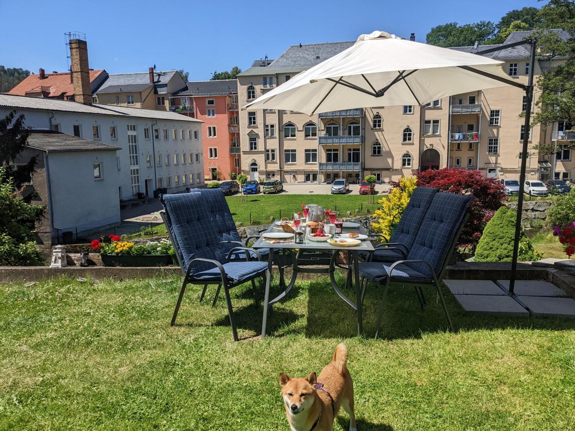 Hw3 - Urlaubsmagie - Helle, Grosse Wohnung Mit Pool Sebnitz Buitenkant foto