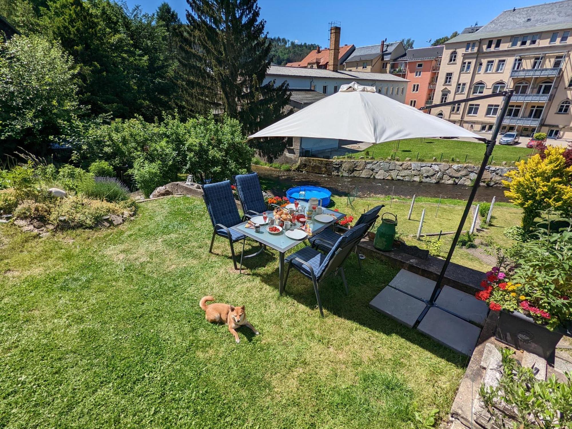 Hw3 - Urlaubsmagie - Helle, Grosse Wohnung Mit Pool Sebnitz Buitenkant foto