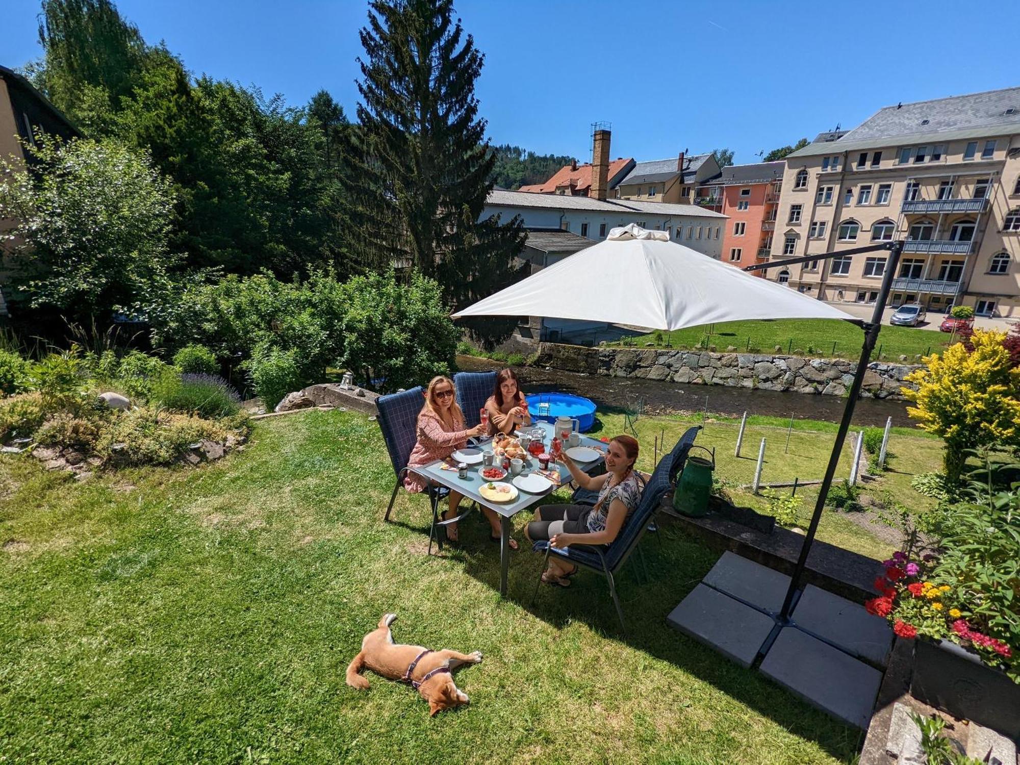Hw3 - Urlaubsmagie - Helle, Grosse Wohnung Mit Pool Sebnitz Buitenkant foto