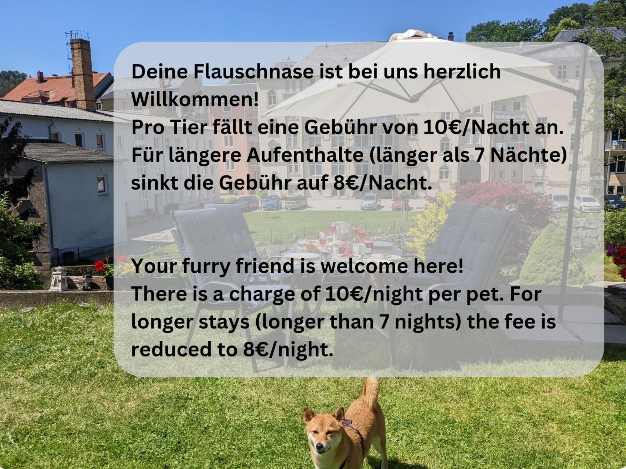 Hw3 - Urlaubsmagie - Helle, Grosse Wohnung Mit Pool Sebnitz Buitenkant foto