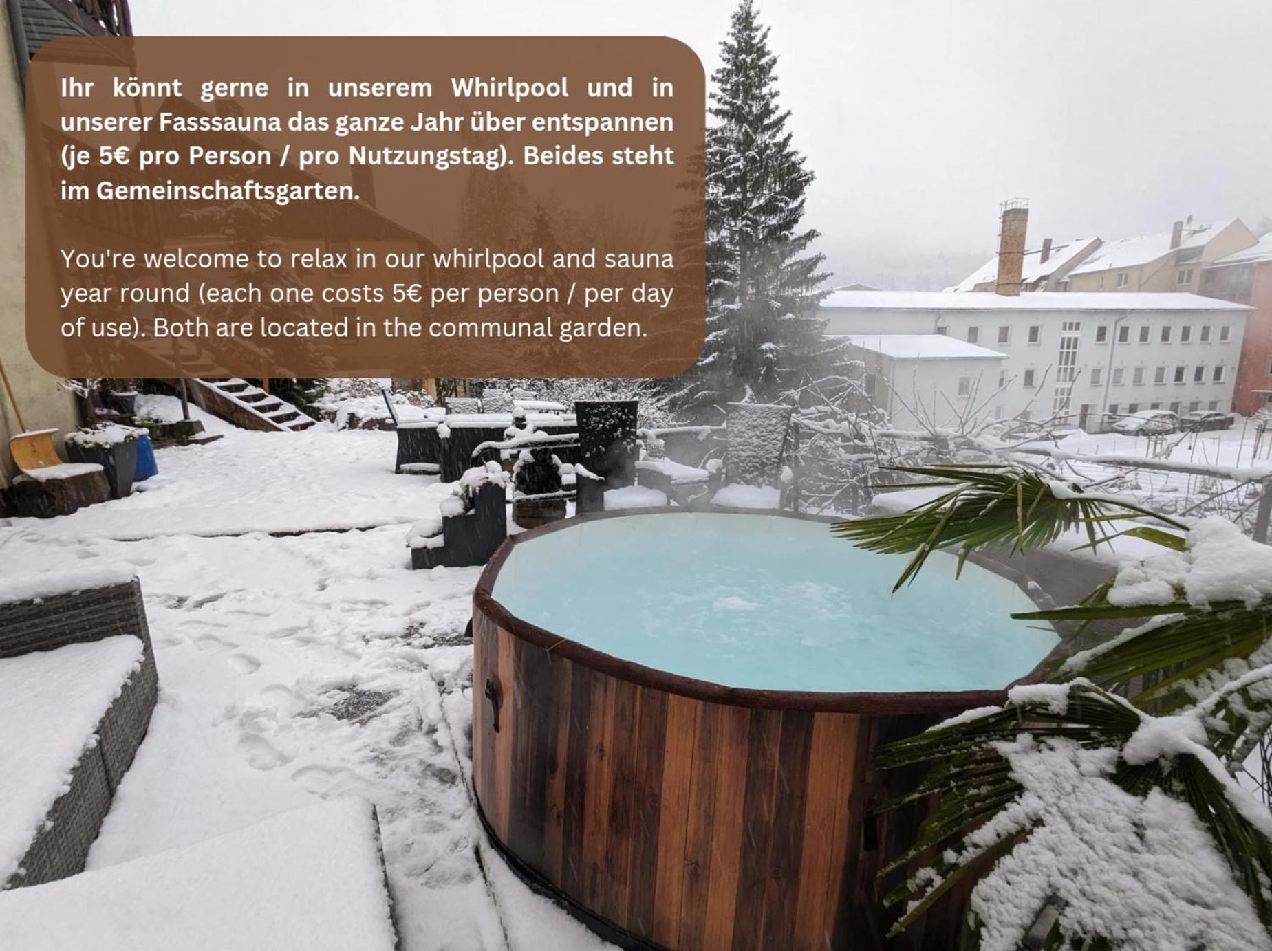 Hw3 - Urlaubsmagie - Helle, Grosse Wohnung Mit Pool Sebnitz Buitenkant foto